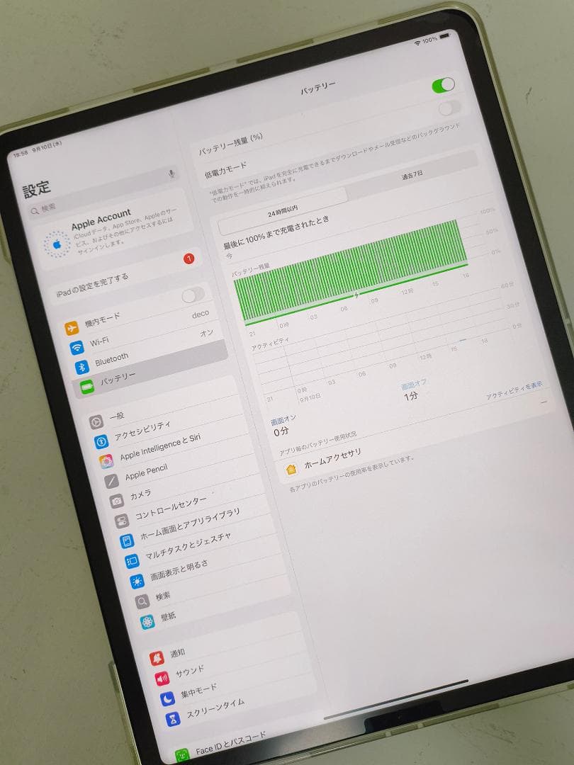 美品　iPad Pro 12.9 第5世代 256GB MHNJ3J/A
