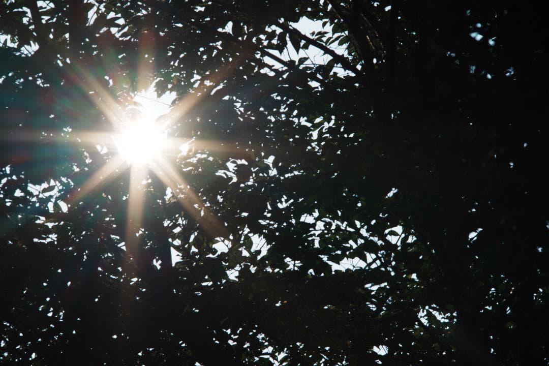 【整備＆テスト済】 SMC Takumar 135mm F2.5 6枚玉 807