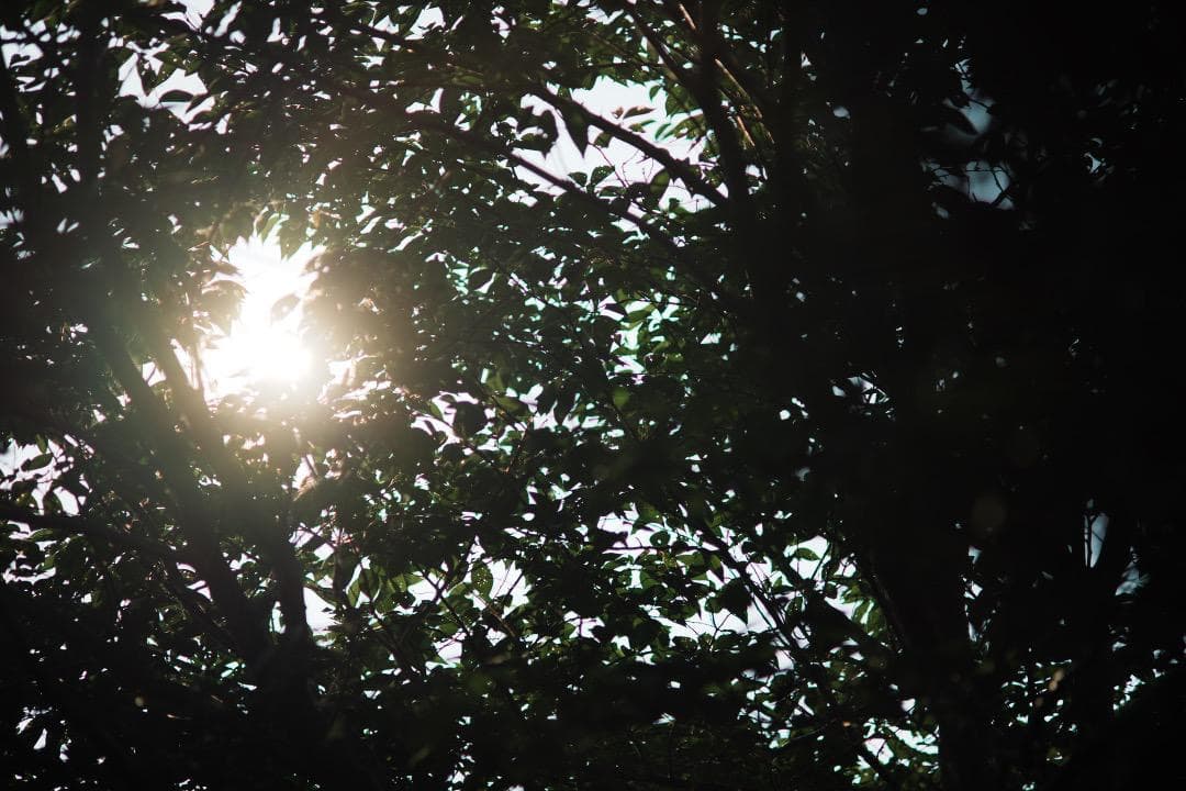 【整備＆テスト済】 SMC Takumar 135mm F2.5 6枚玉 807