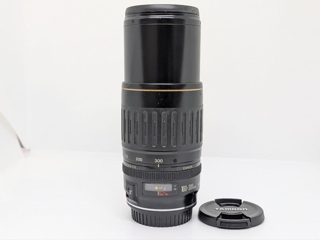 12月1日限定価格♪Canon EF 100-300mm USM