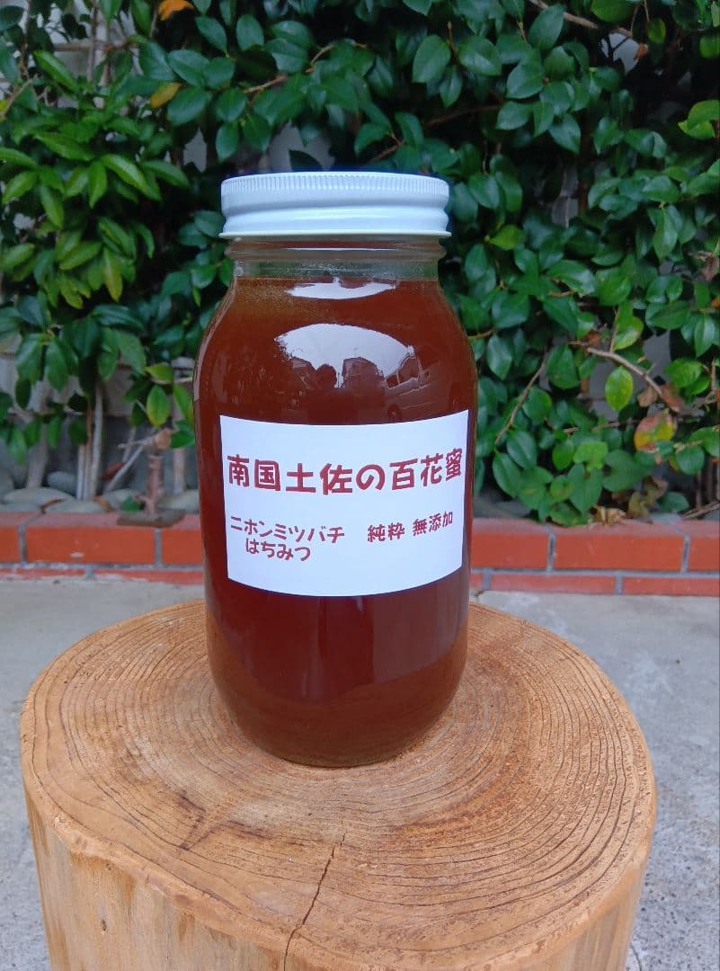 南国土佐の百花蜜　ニホンミツバチ蜂蜜　無添加　無加工　タレ 蜜