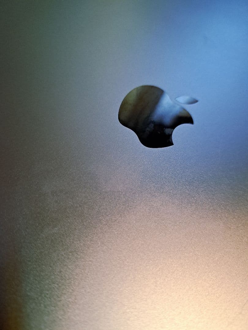 iPadPro 12.9インチ 第4世代 256GB Apple Pencil付