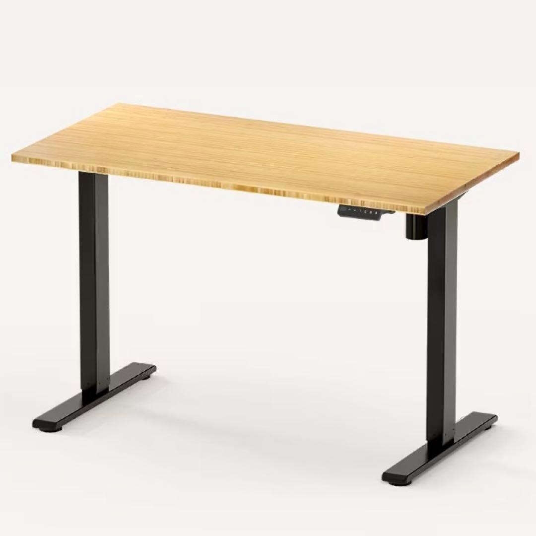 FlexiSpot(フレキシスポット) EF1 脚フレーム 黒