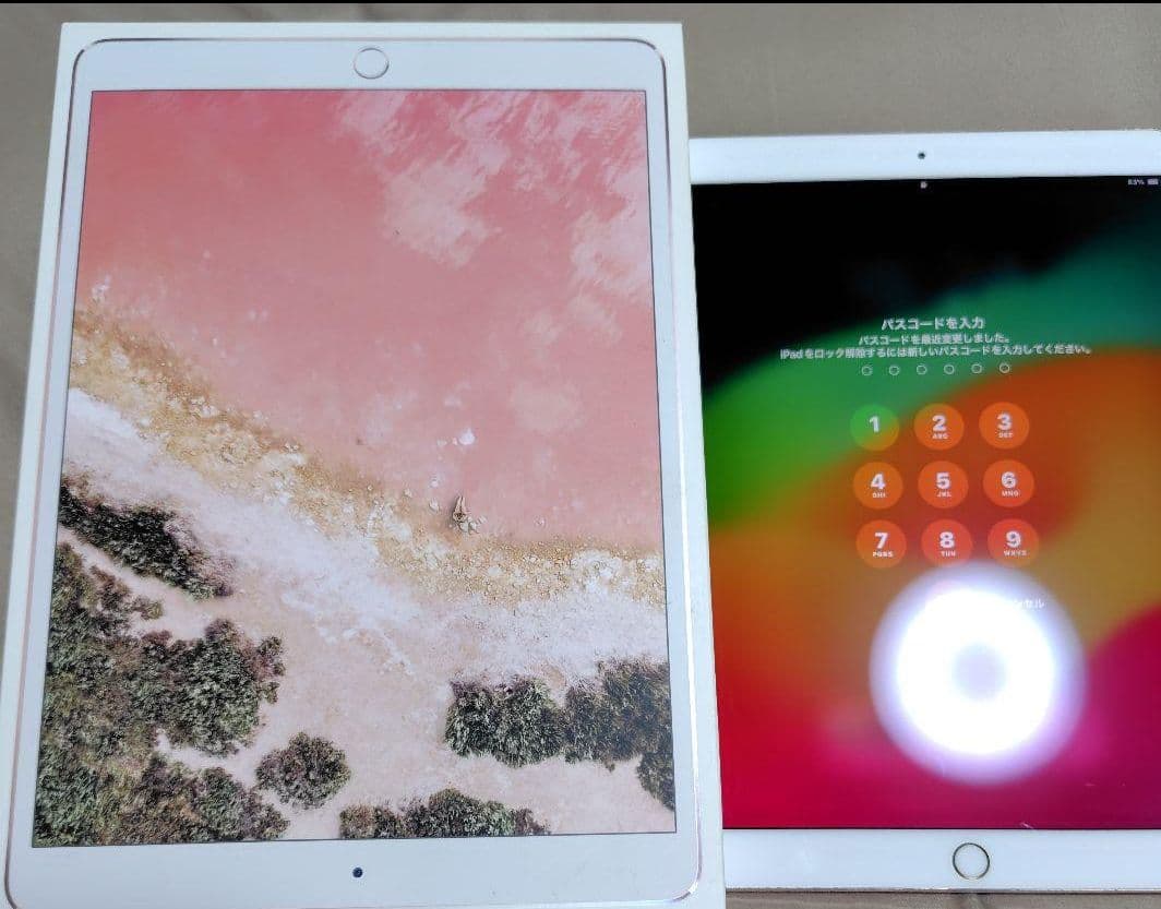 ト*ン様 ♡iPad Pro♡ 10.5インチ Wi-Fi 256GB✨美品✨