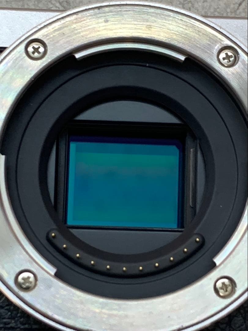 Panasonic LUMIX DMC-GM1 カメラ （H-H020A）