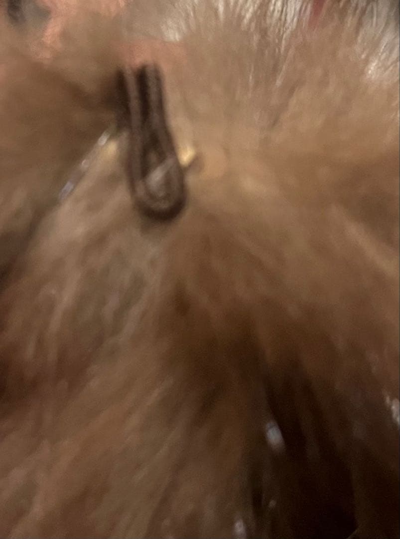 伊太利屋　ミンク　リアルファー　マフラー　ショール　ストール　ヴィンテージ　和装