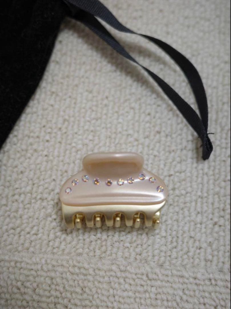 定価¥22,000 ALEXANDRE DE PARIS S クリップ ポーチ付