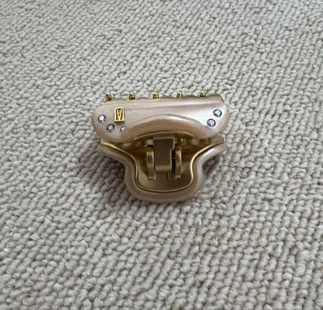 定価¥22,000 ALEXANDRE DE PARIS S クリップ ポーチ付