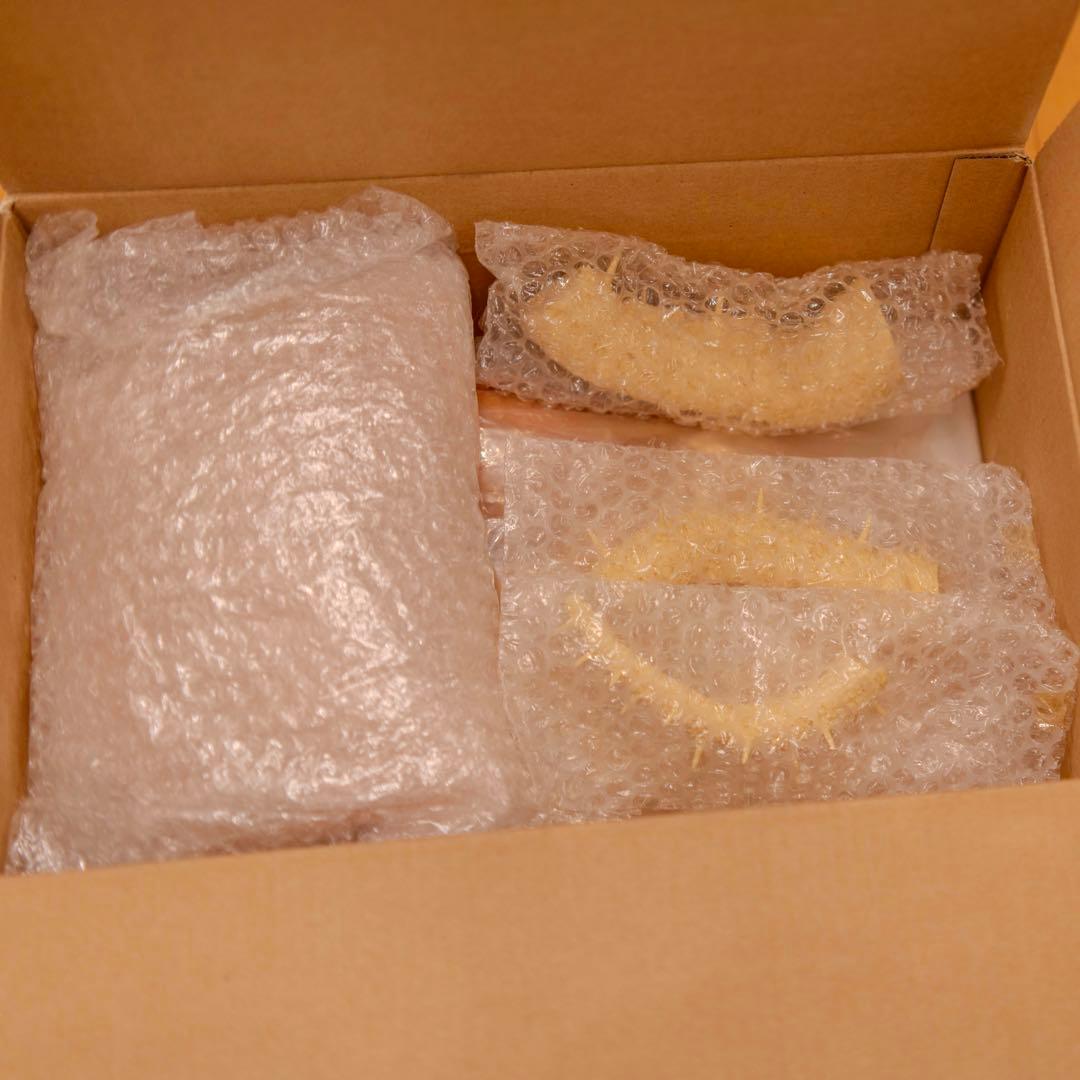 浅井造型 アンギラス ゴジラの逆襲 ガレージキット