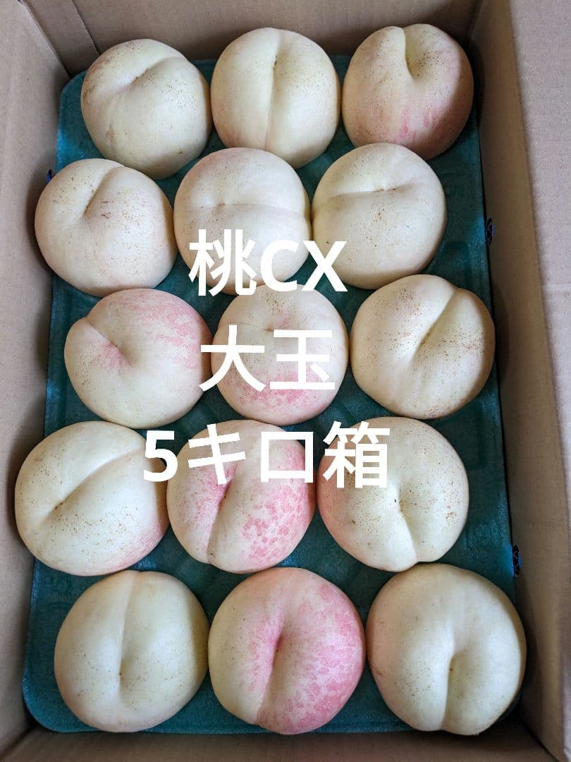 本日終了！桃☆CX(シーエック)大玉15個　5キロ箱　箱込み6.5キロ