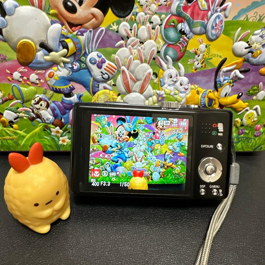 美品 Panasonic LUMIX DMC-TZ20 動作品　付属品有り