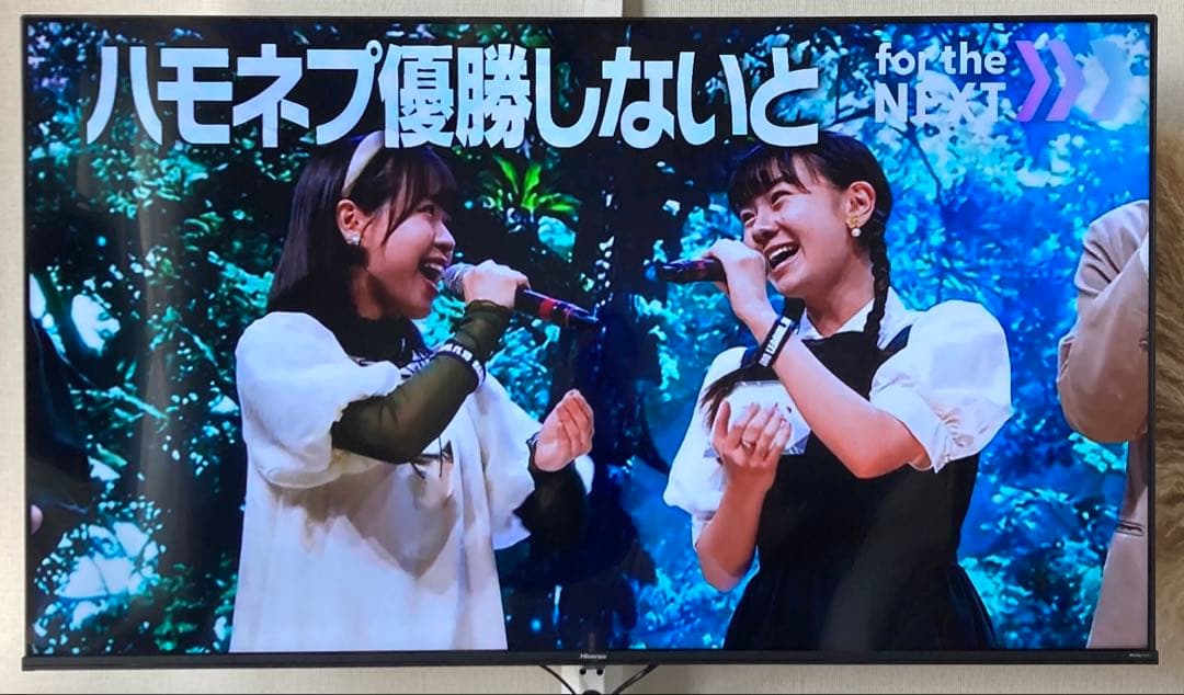 2025年製 Hisense 55A6K 4K液晶テレビ 55インチ