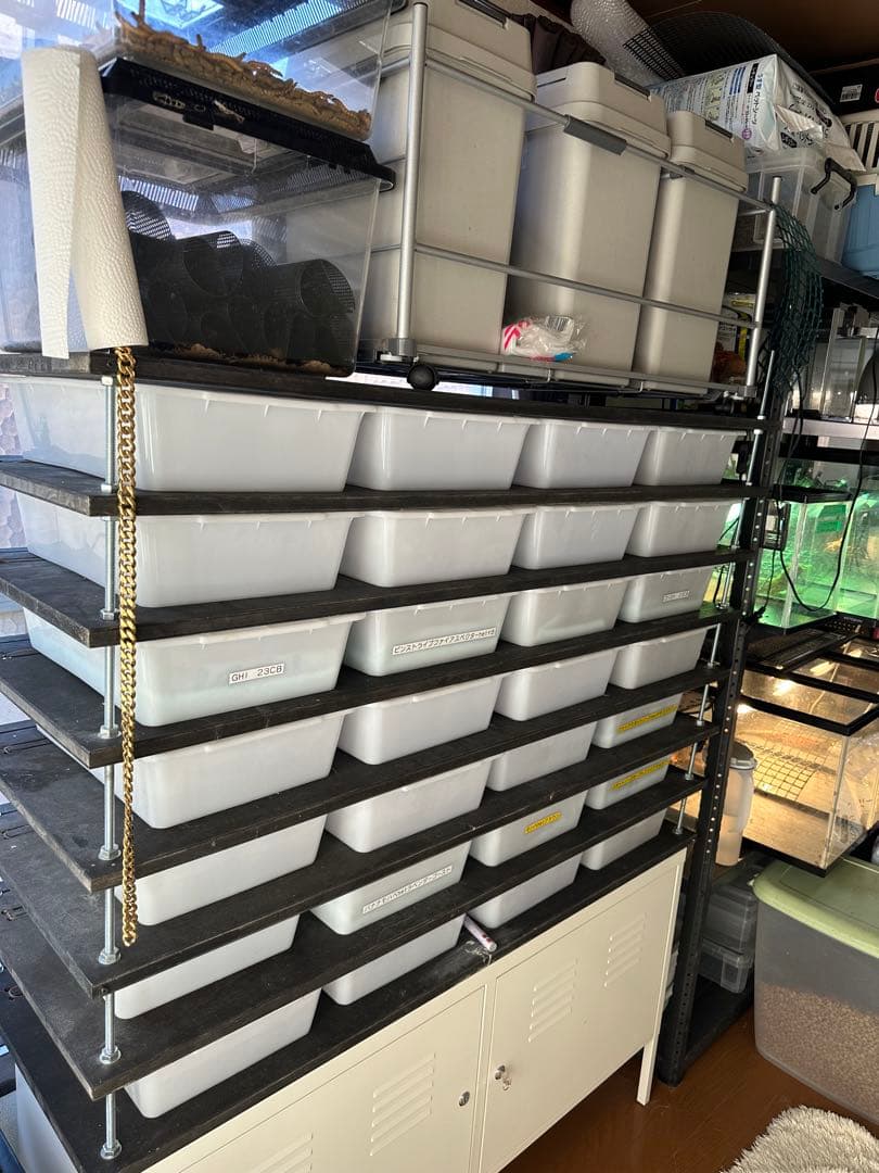 スネークラック用タブ　ブリーダーラック用タブ　爬虫類ラック