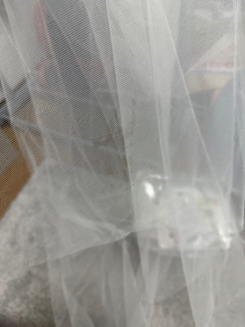 verawang pavlova US4&3段ベール