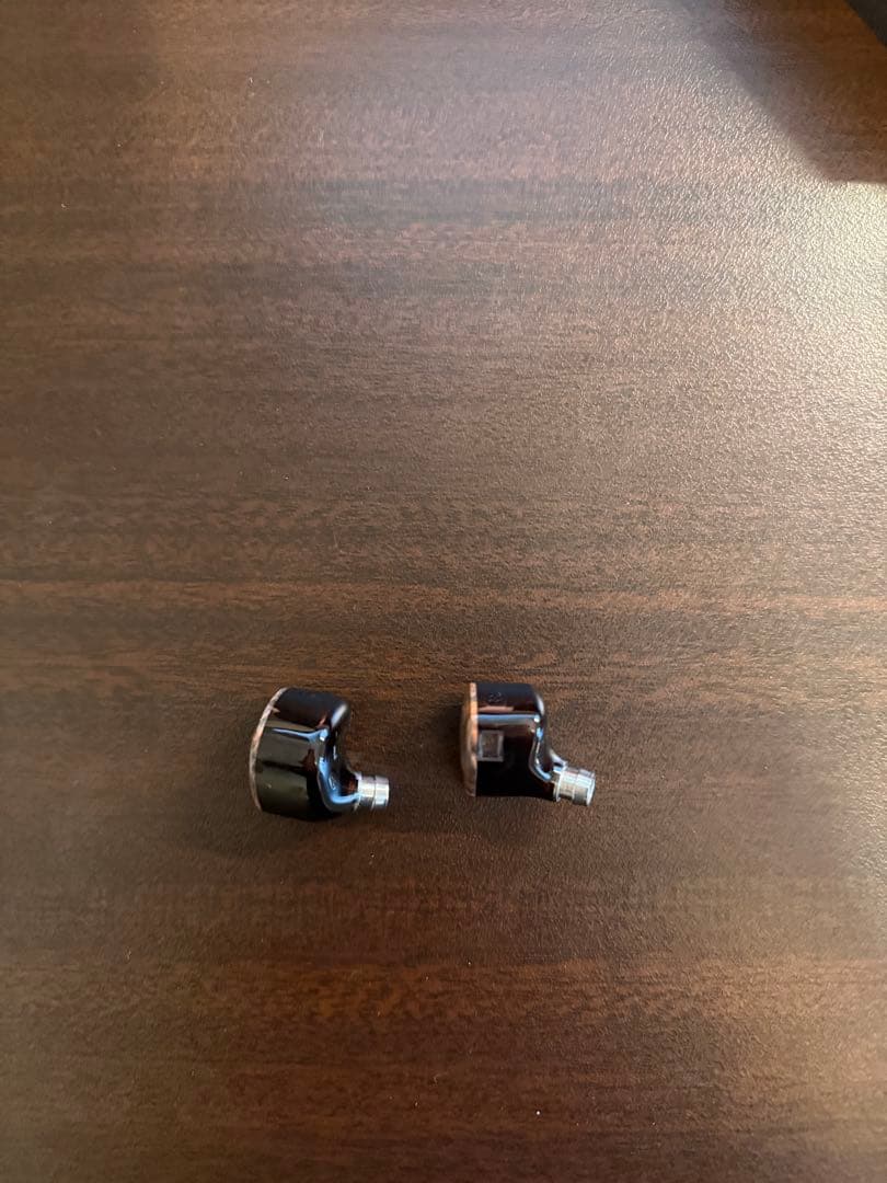 （付属品完備）DUNU DaVinci イヤフォン