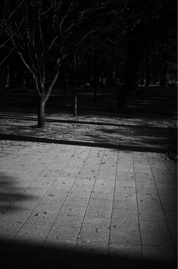 【美品】APO-Componon 45mm F4