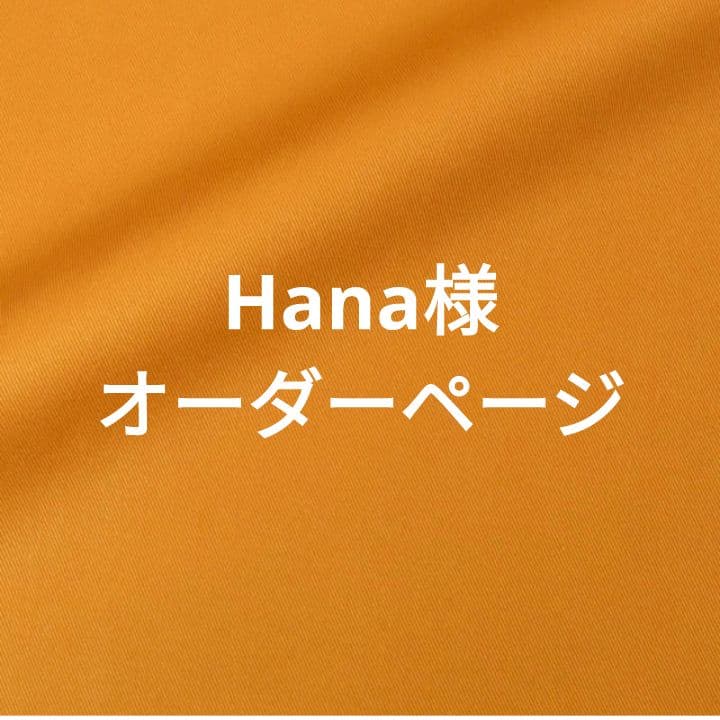 Hana様オーダーページ　バッグインバッグ