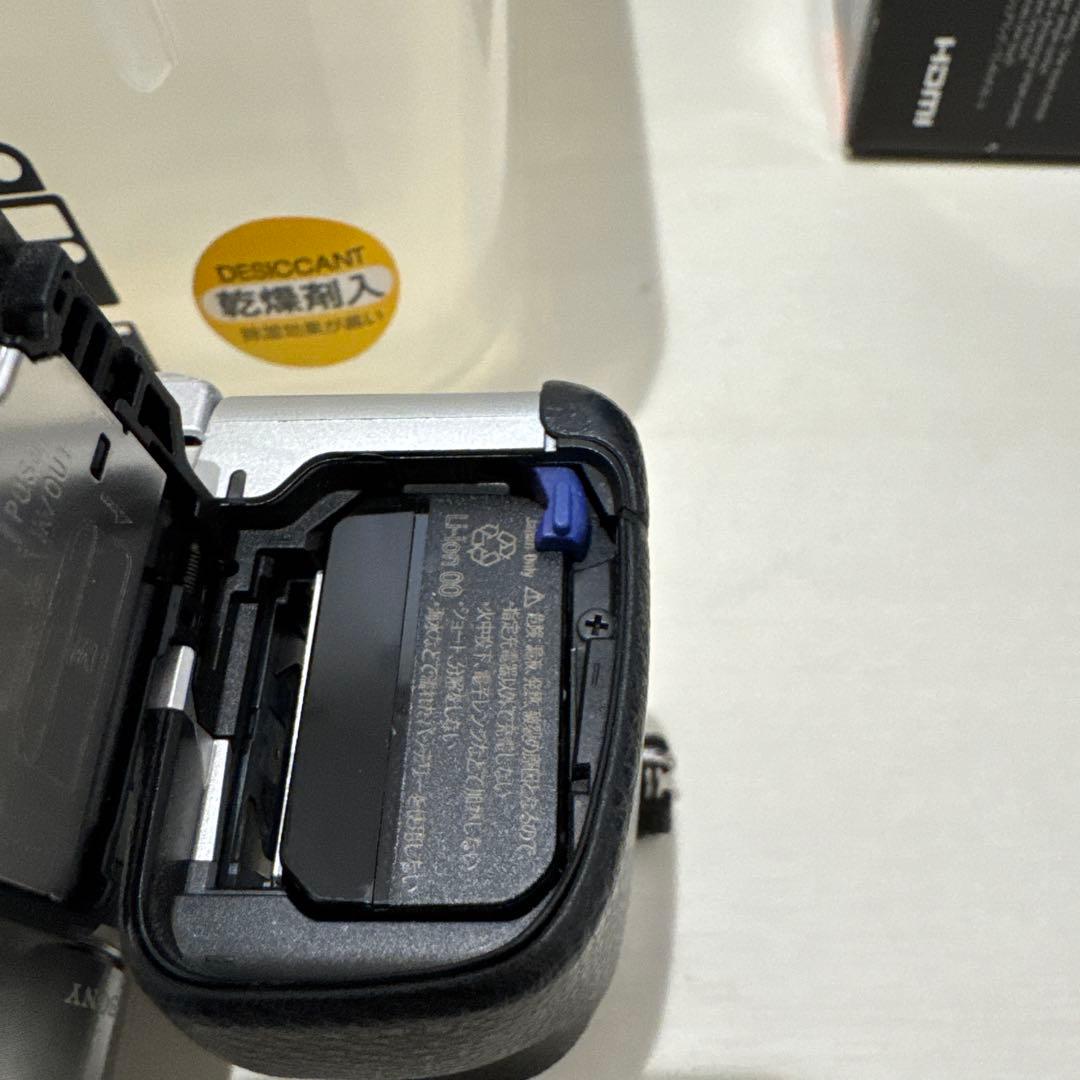 Sony α6400 ミラーレス一眼 レンズ 2本 ハクバドライBOX付