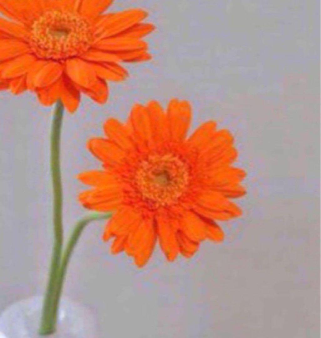 Ryun  Mソープ3 クリアクレンジング2 Sセット