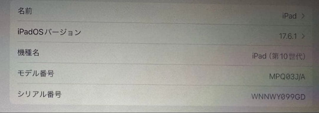 raraApple iPad 10.9インチ シルバー 本体