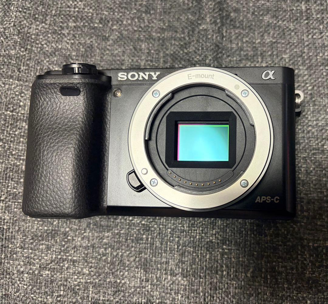 Sony α6000 ミラーレス一眼 カメラセット 海外版