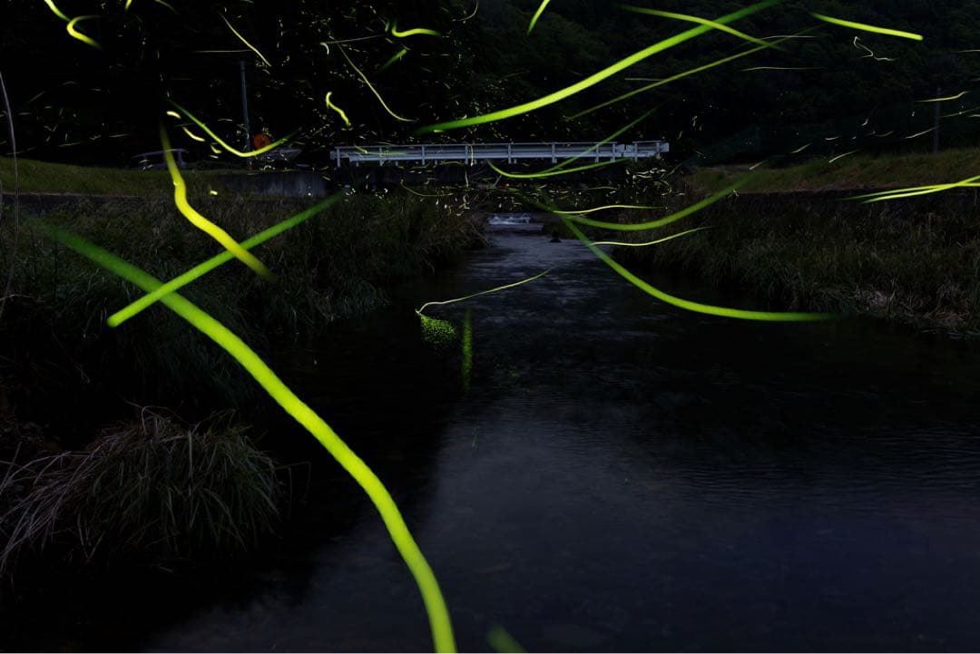 Canon EOS 6D ボディー（フルサイズ）