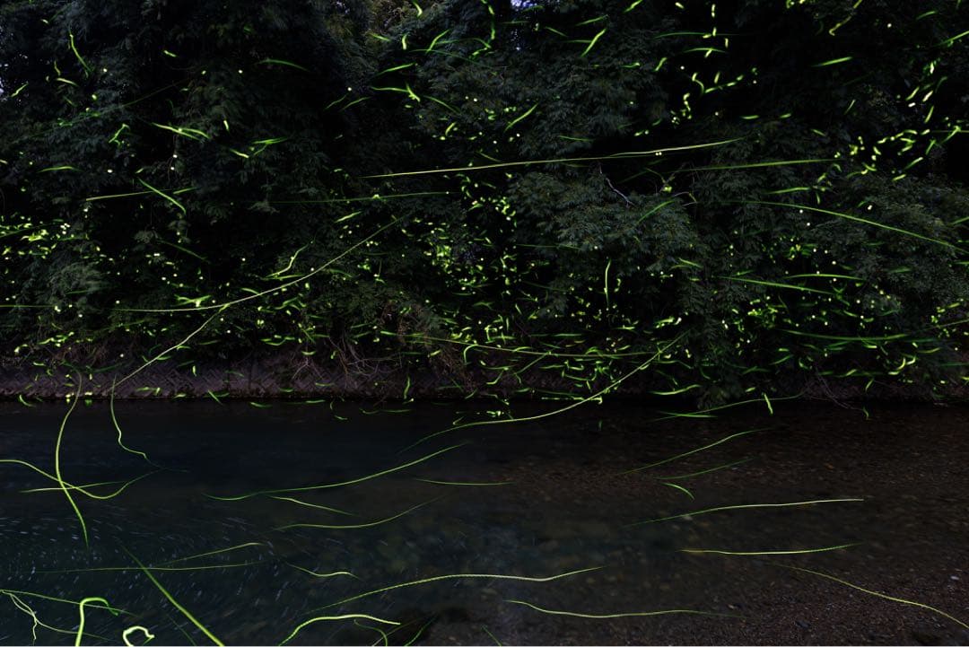 Canon EOS 6D ボディー（フルサイズ）