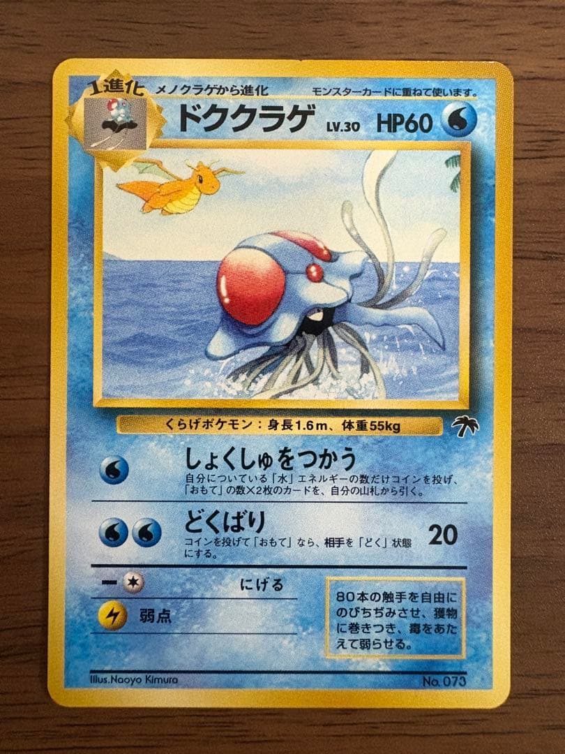 サザンアイランド　海　旧裏ポケモンカード　ポストカード付