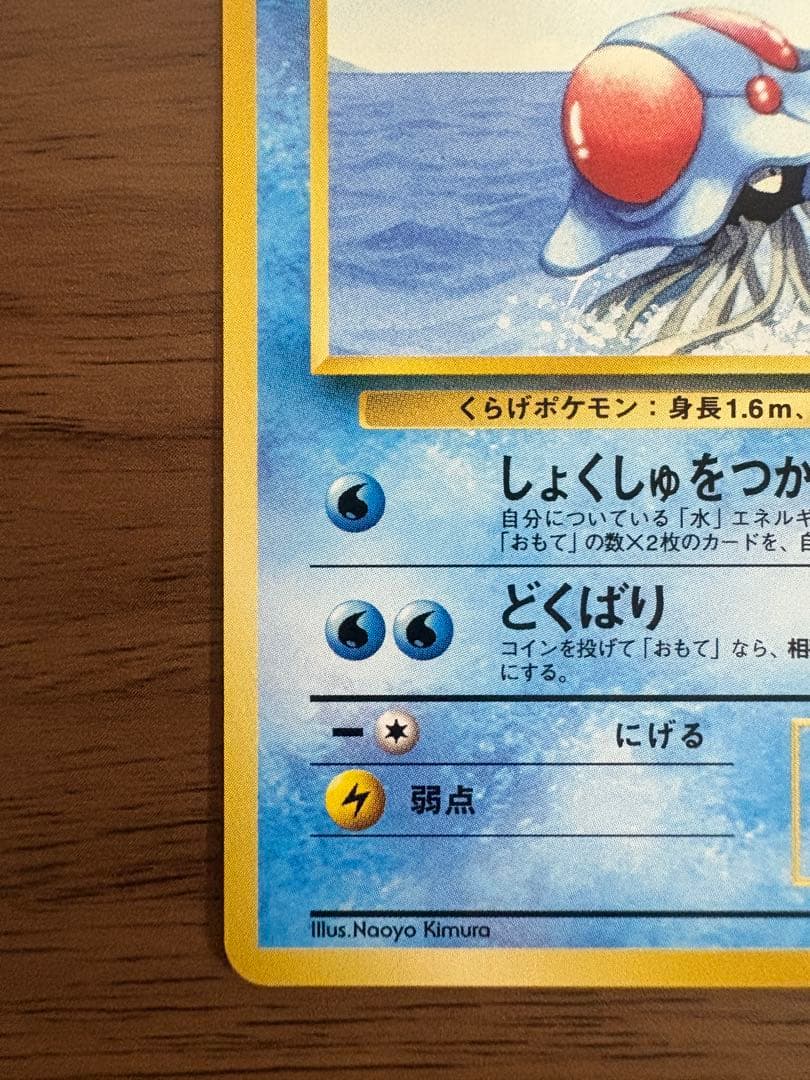 サザンアイランド　海　旧裏ポケモンカード　ポストカード付