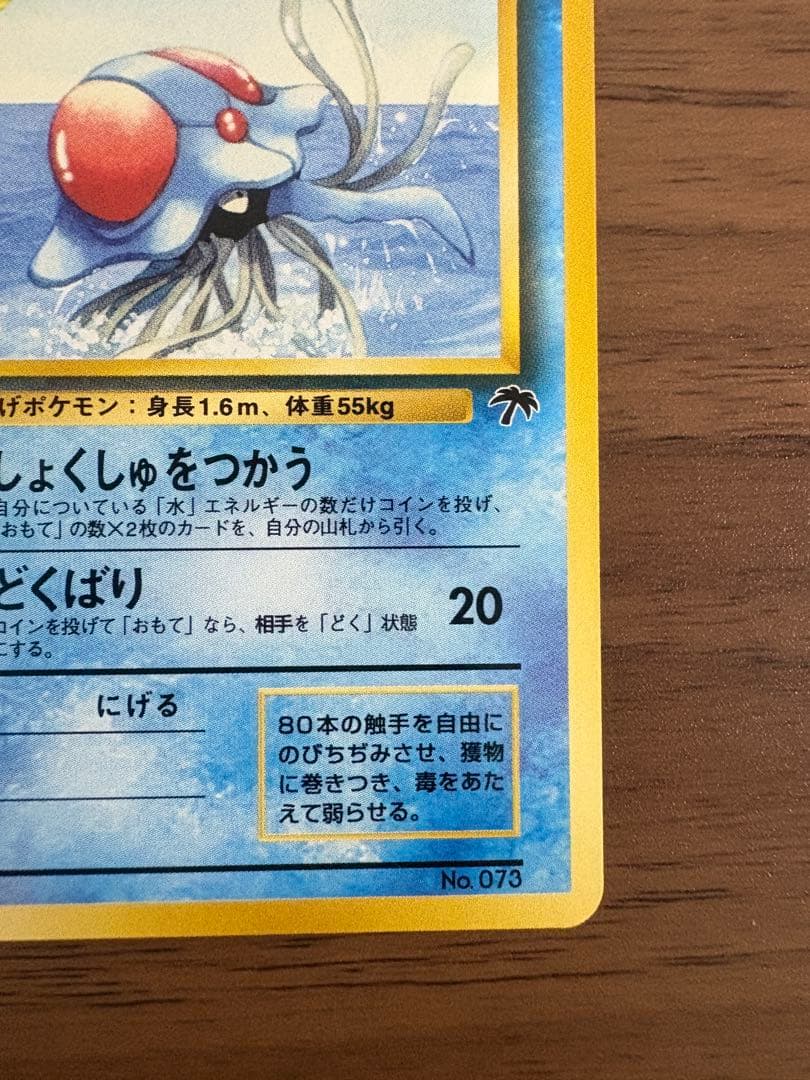 サザンアイランド　海　旧裏ポケモンカード　ポストカード付