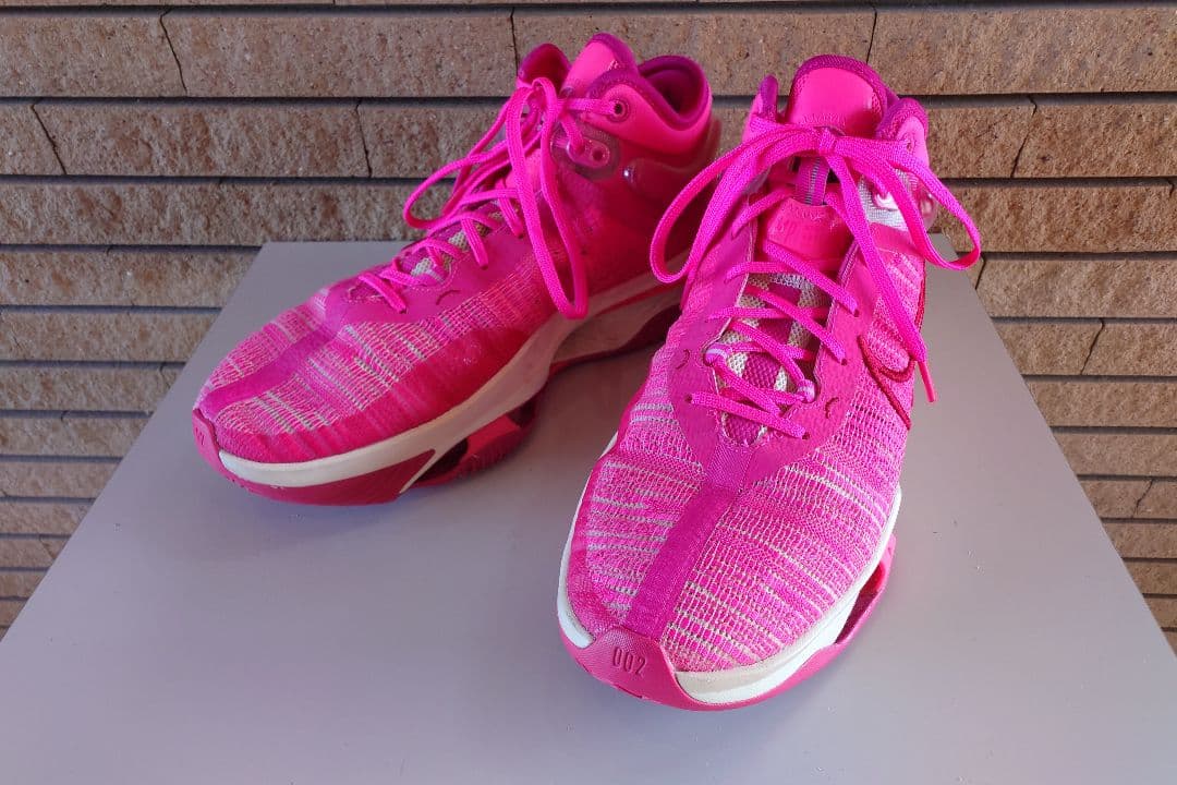 着用1回☆ナイキ エアズームG.Tジャンプ2EPバスケットボールシューズ29cm