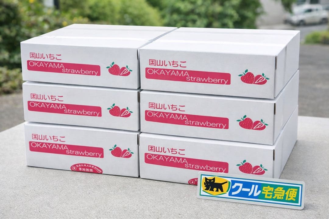 ‼️期間限定‼️【クール便送料込】スターナイト朝採いちご2箱8パック入2kg以上