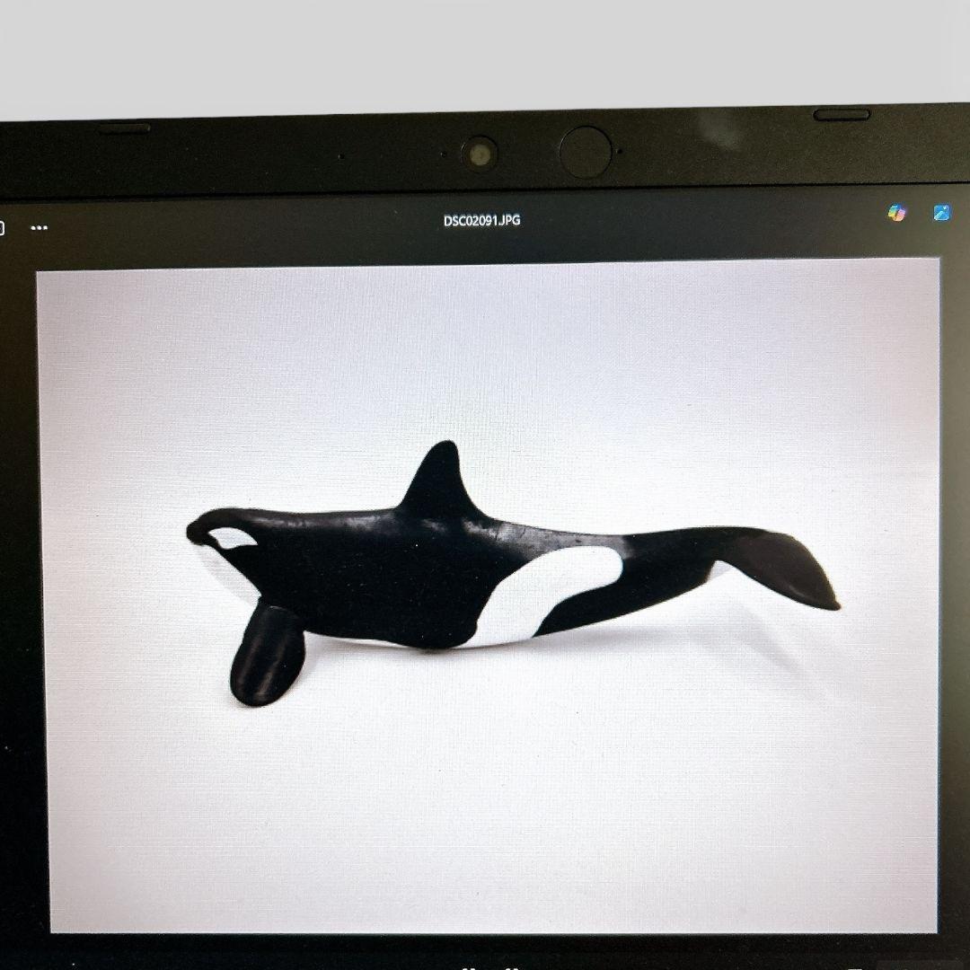 SONY Cyber-shot DSC-WX5 紫 【希少カラー 動作確認済】