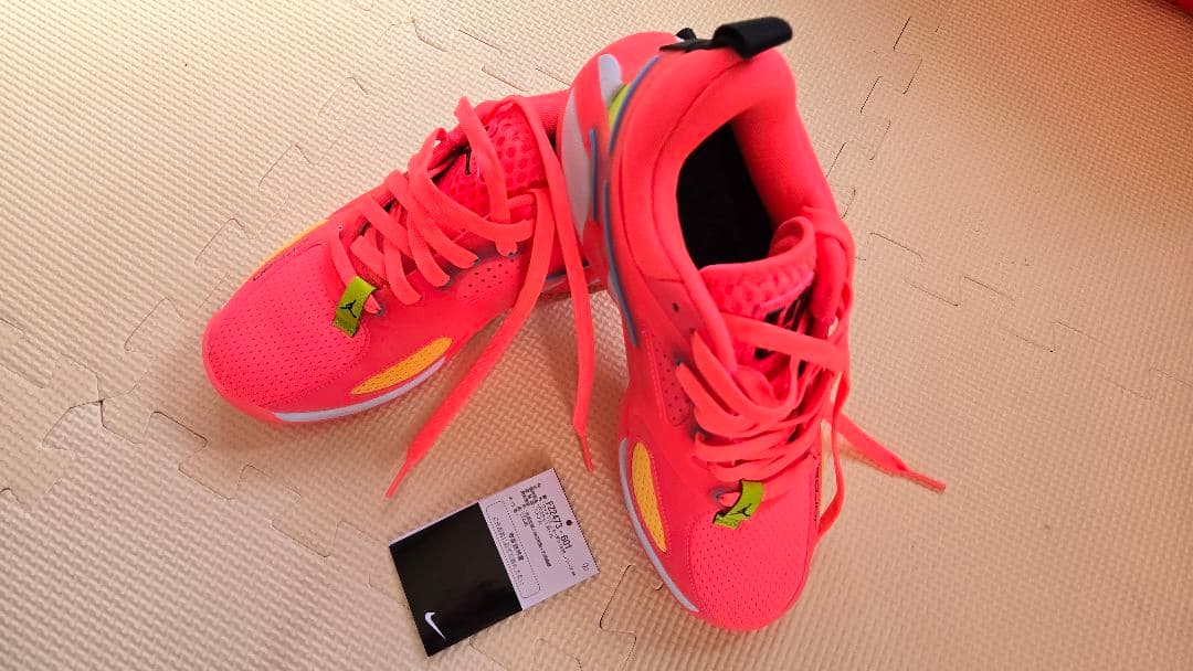 NIKE ナイキ ウィメンズ ジョーダン HEIRシリーズPF バスケットボール