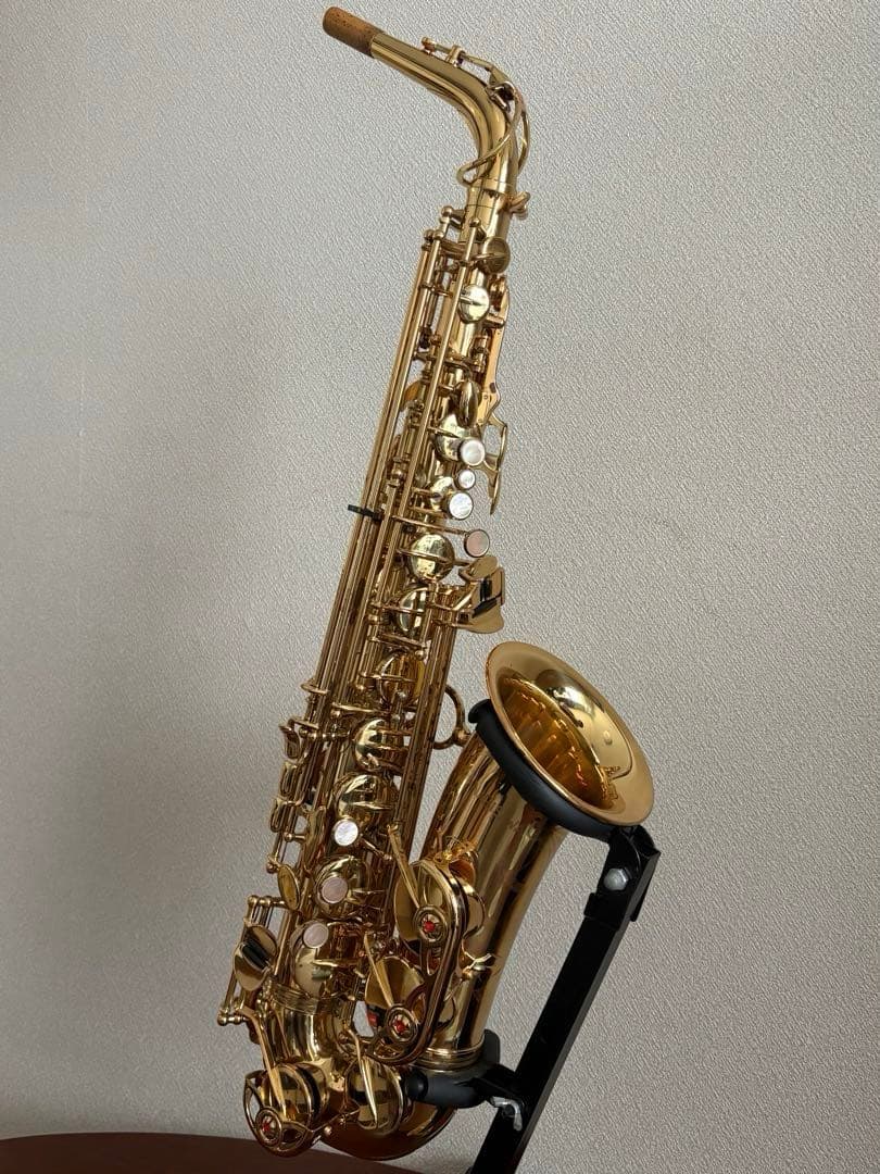 ヤナギサワ アルトサックス A-900
