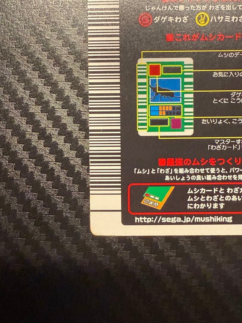 T*u様 アクティオンゾウカブト