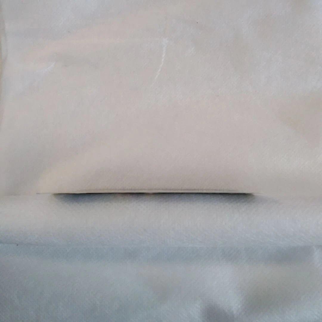 ラティアス ポケモンカード 2010年版 045/L-P　プロモーションカード