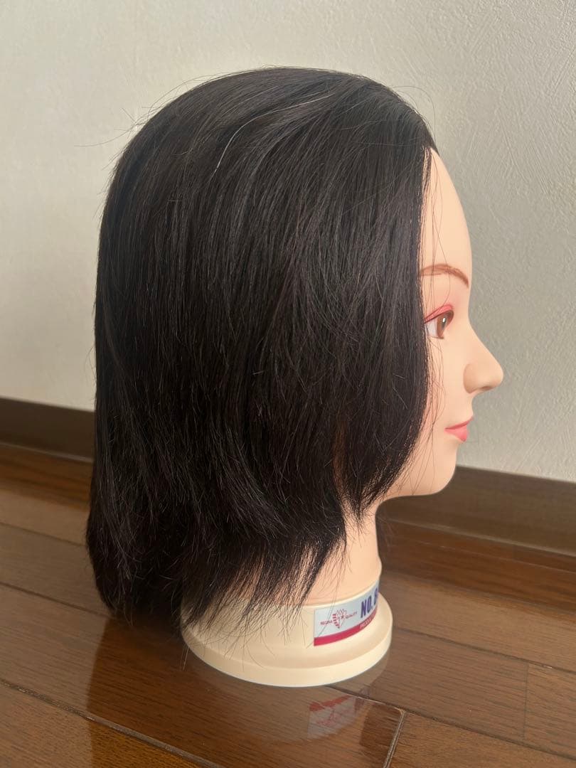 レジーナ 805P オールウェーブ用ウィッグ 未使用品