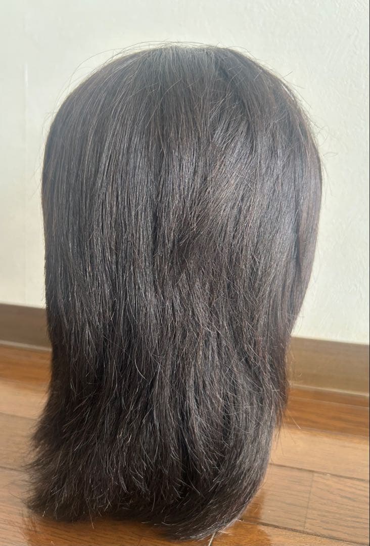 レジーナ 805P オールウェーブ用ウィッグ 未使用品