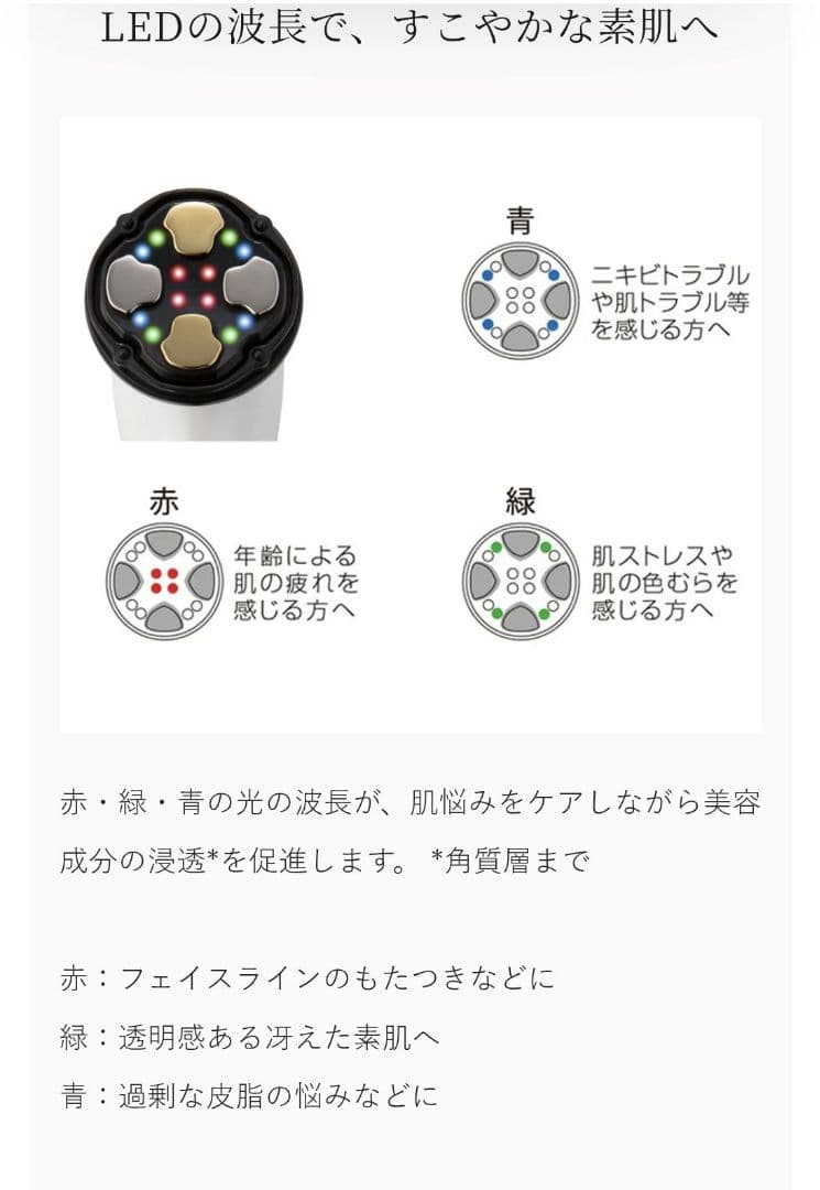 ミスアリーヴォ ザ・レイス　定価154000　公式HPで購入　フォクシー