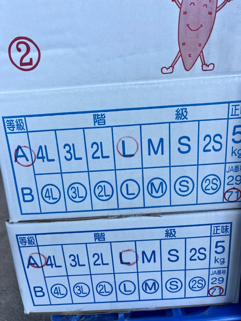 大分県産　甘太くんA品Lサイズ　20キロ