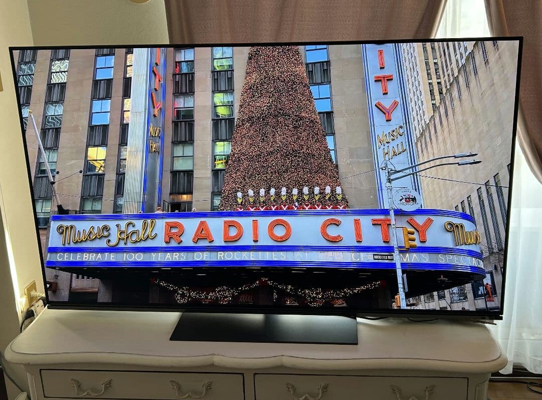 レグザ　有機ELテレビ　65X8900L 高画質 美品