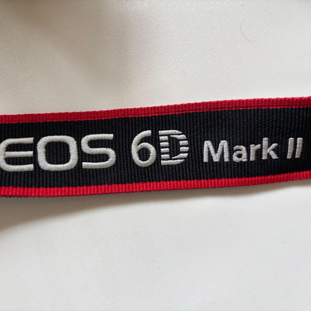 canon EOS 6D makeⅡ キャノン　ボディ