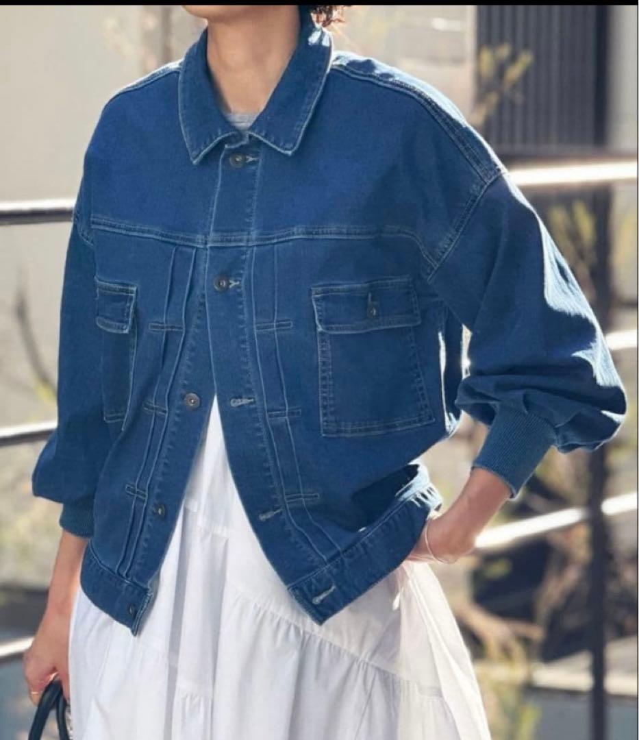 BEARDSLY 袖パフGジャン