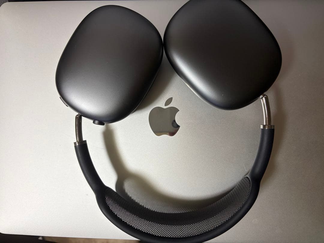 「ガオーらいおん」ブラックオーバーイヤーヘッドフォン本体