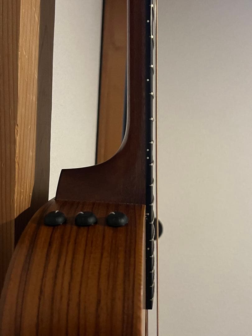 U*e様 gs mini-e Taylor rosewood ES-2 エレアコ