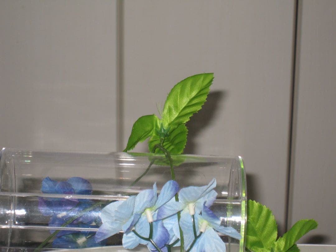 美品　Canon IXY 700 PC1169 充電器　箱　コンデジ　動作品