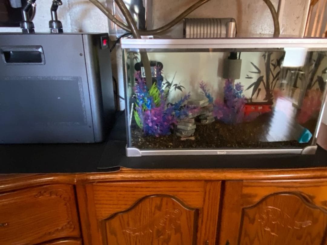 小型水槽用 水温調整ウォータークーラー