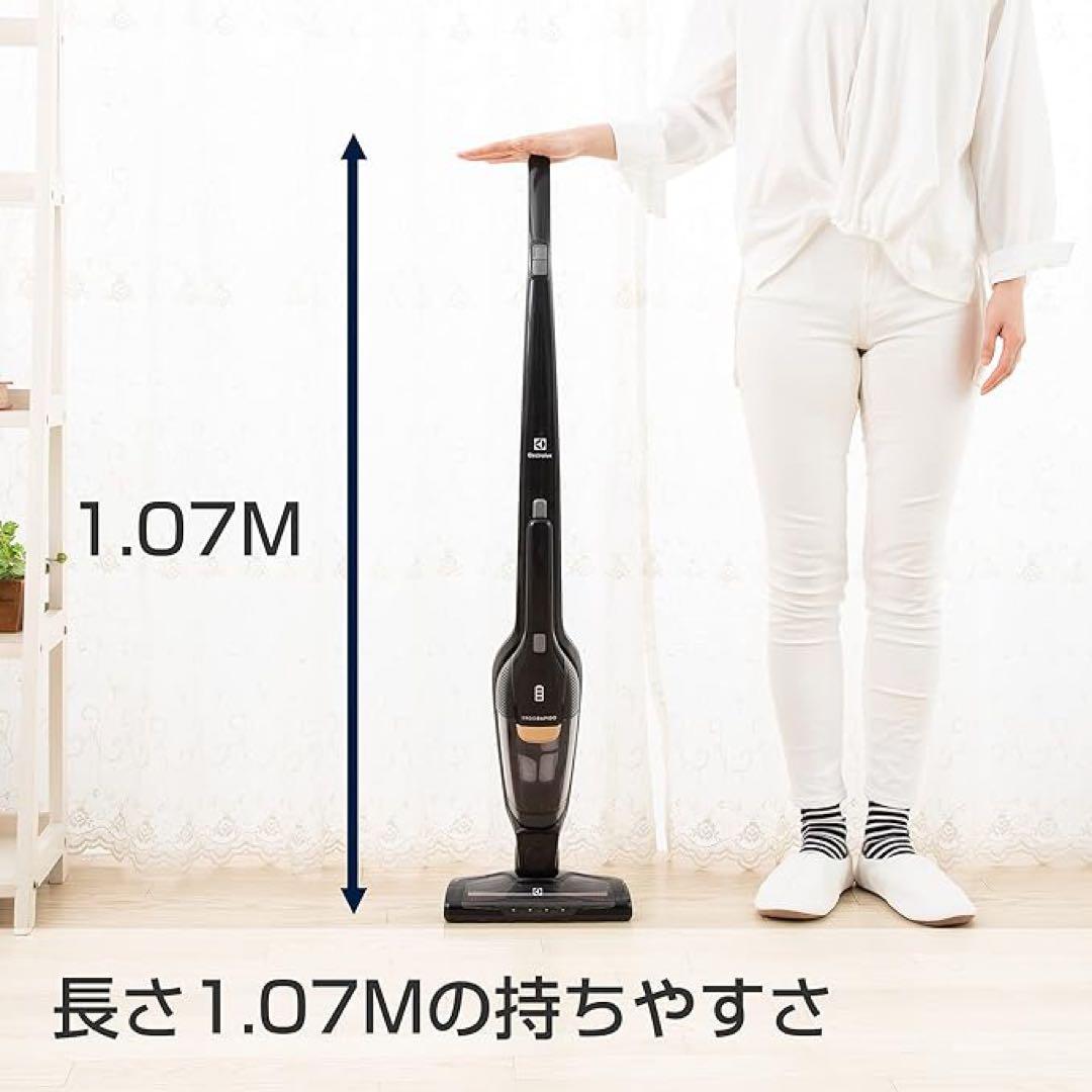 エルゴラピードリチュウムZB3513DB