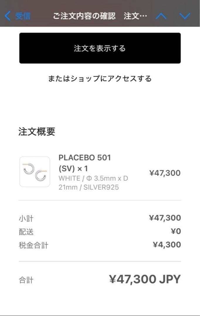 Careering placebo 501 silver 小栗旬着用モデル